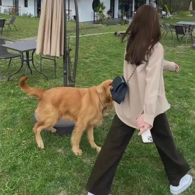 瑞克和莫蒂第一季